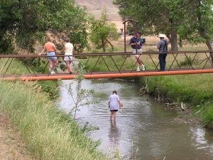The Creek