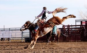 Person on Bucking Horse