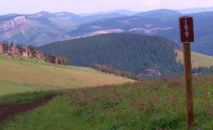 The Landscape